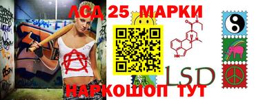 стафф Донецк