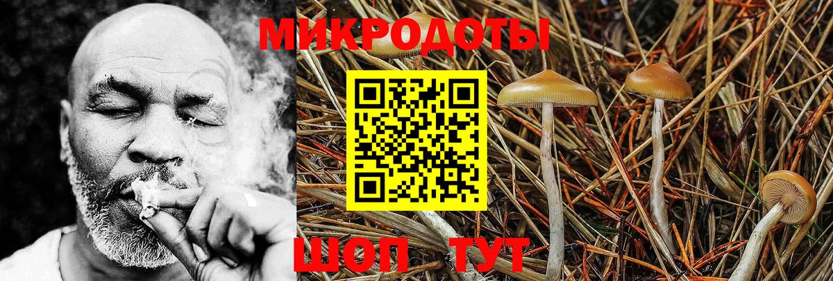 Псилоцибиновые грибы ЛСД Михайловск