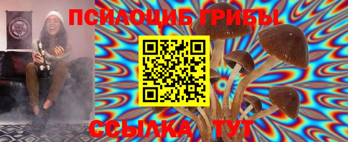 Галлюциногенные грибы мицелий  купить  цена  Михайловск  Вход с VPN 