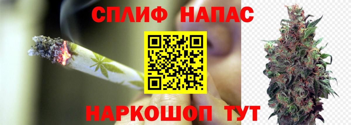 Шишки марихуана конопля Михайловск